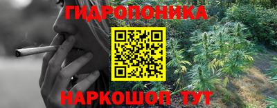 ПСИЛОЦИБИНОВЫЕ ГРИБЫ Кулебаки