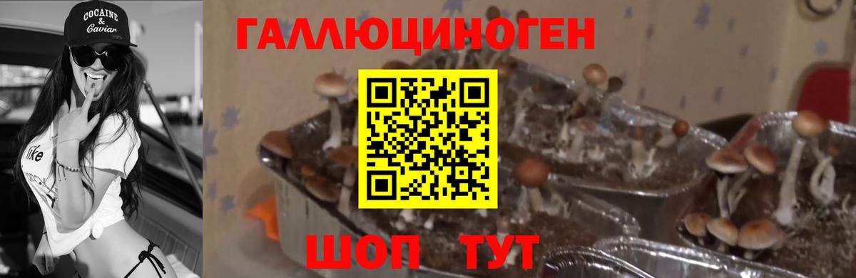 Галлюциногенные грибы мухоморы Кемерово