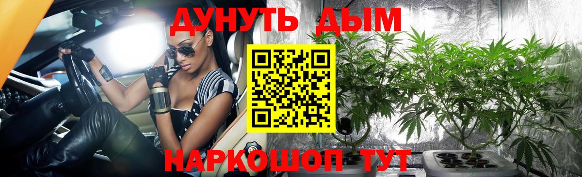 МАРИХУАНА OG Kush  Каннабис гибрид  Кемерово  Шишки марихуана OG Kush  Вход с VPN 